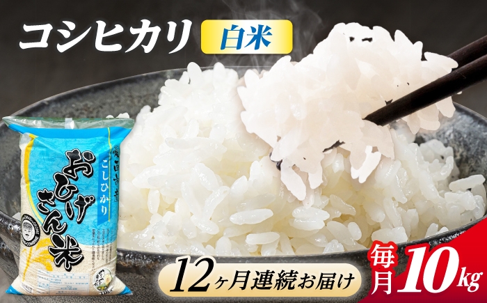 
                  【12回定期便】コシヒカリ 白米 10kg×12ヵ月 愛西市 / 脇野コンバイン [AECP029]
                
