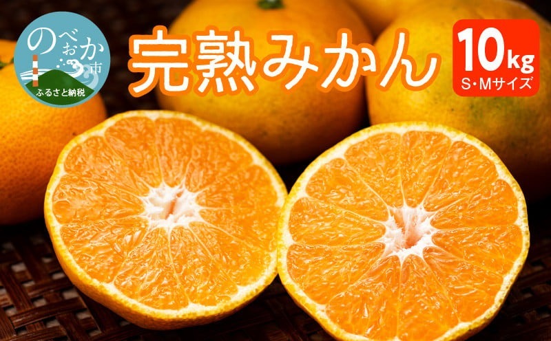 早生みかん及び普通みかん 10kg N0132-YB095