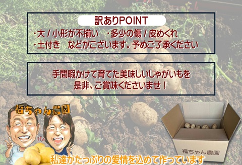 訳あり！農家直送のじゃがいも 10kg【B0-154】 訳あり じゃが じゃがいも いも 肉じゃが サラダ フライドポテト 揚げ物 カレー シチュー 煮物