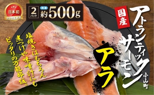 日本初 完全陸上養殖 小山町産 アトランティックサーモン 冷凍 アラ2パック 約500g | サーモン アトランティックサーモン 刺身 海鮮丼 さーもん 小分け 真空パック 人気 おすすめ ランキング リピート 国産 静岡県 小山町