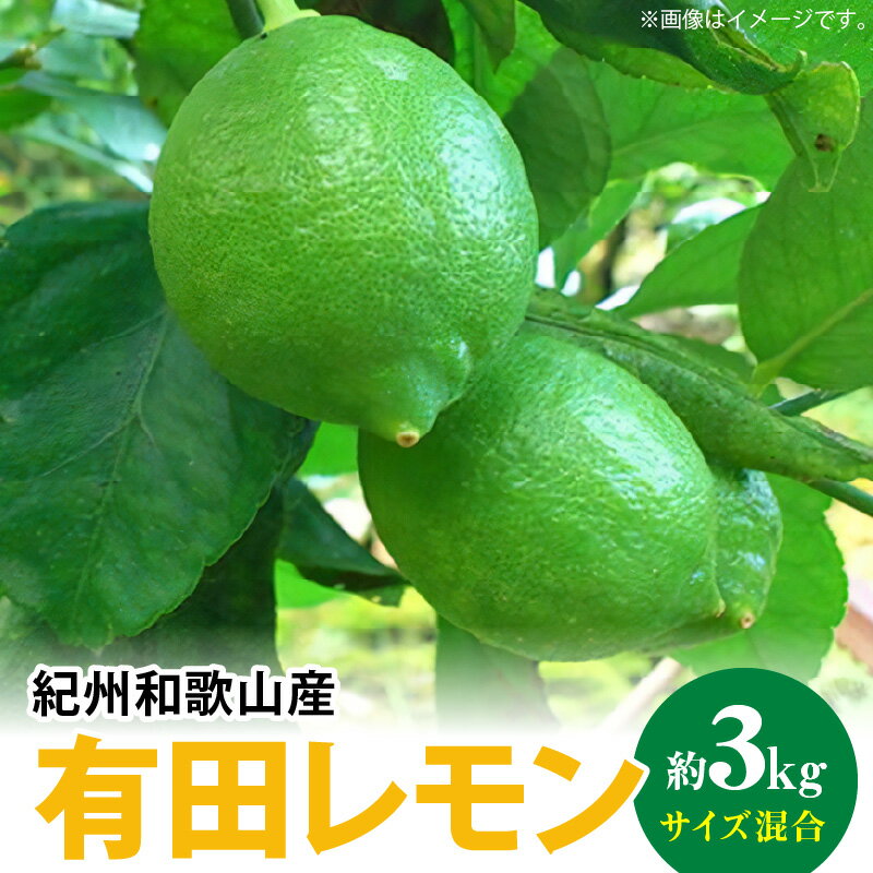 【ふるさと納税】【国産】 高評価★5 紀州和歌山産 有田レモン 3kg (サイズ混合)【国産 レモン 柑橘 フルーツ 和歌山】