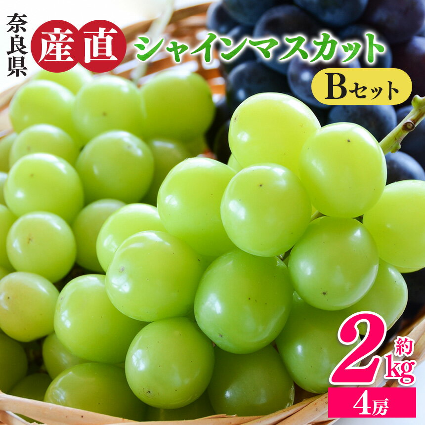 【ふるさと納税】シャインマスカットと季節のぶどう セットB（4房入り）約2kg | フルーツ 果物 くだもの ぶどう 葡萄 ブドウ シャイン マスカット 奈良県 平群町 季節 セット