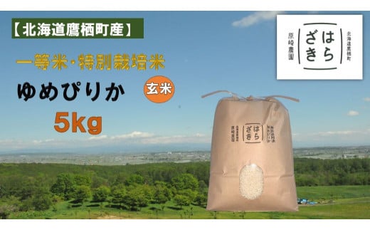A270【令和7年産】一等米・特別栽培米 5kg【ゆめぴりか玄米】5kg×1（農薬7割減）北海道 鷹栖町 原崎農園