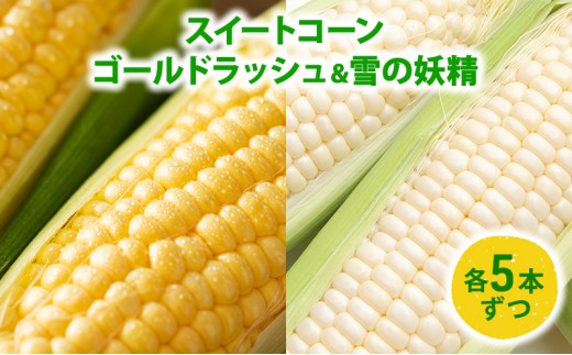 
                  【令和7年産】スイートコーン「ゴールドラッシュ5本 & 雪の妖精5本」 野菜 旬の野菜 北海道産 北海道野菜 国産 国産野菜 グルメ 食材 とうもろこし 
                