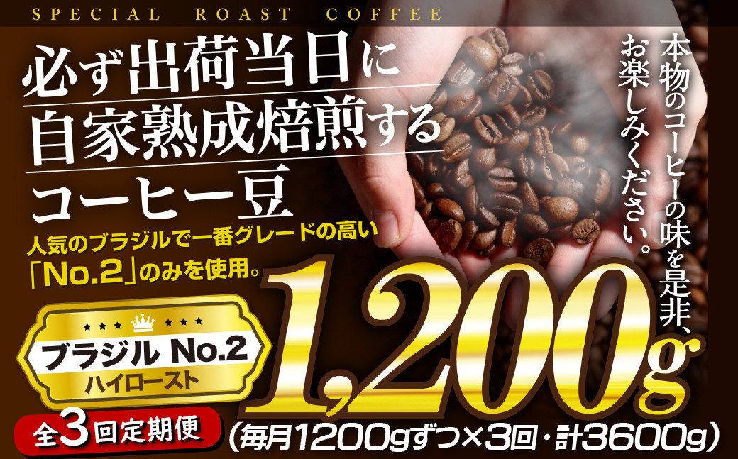 
            E429z 【3回定期便】必ず出荷日に自家熟成焙煎ブラジルNo.2豆(1,200g)【SASEBO Coffee TOMINAGA】30000円 人気 新鮮 挽きたて 高級コーヒー 本格 大容量
          