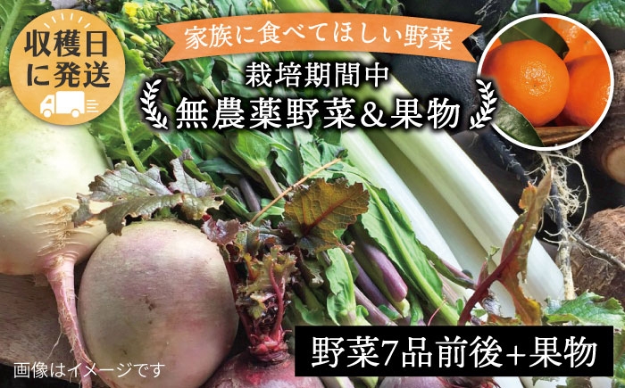 
                  【お中元対象】朝採れ！ 栽培期間中無農薬野菜 （ 7品 前後 ） セット ＋ 果物  《糸島》【オーガニックナガミツファーム】 	[AGE004]
                
