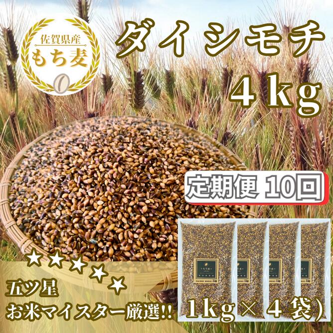 【ふるさと納税】【10回定期便】ダイシモチ4kg もち麦 キラリ もち麦ごはん（CIC22）