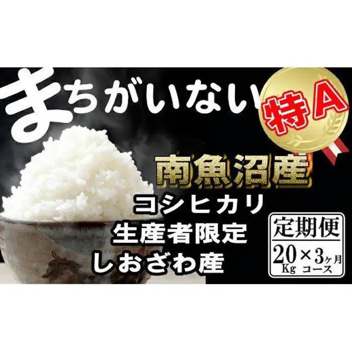 【令和7年産】【定期便】生産者限定 契約栽培　南魚沼しおざわ産コシヒカリ（20Kg×3ヶ月）【定期便 銘柄米 ブランド米 精米 こしひかり コシヒカリ 魚沼産 新潟米 産地直送 お米 米 こめ コメ ご飯 御飯 ごはん】