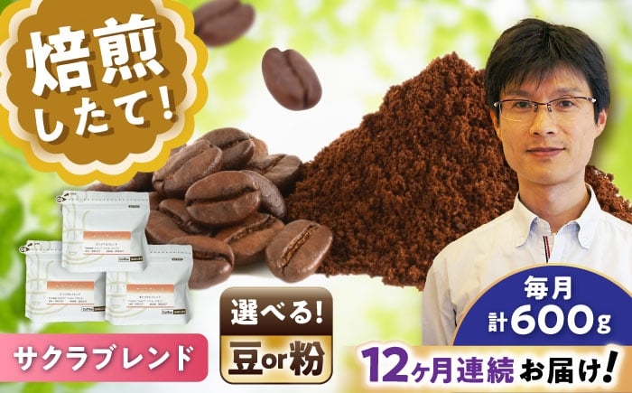 
            【全12回定期便】【選べる豆 or 粉】ブレンドコーヒー サクラブレンド 200g×3個 / 珈琲 コーヒー / 瀬戸市 / Ｃｏｆｆｅｅ　ＳＡＫＵＲＡ [BBAB113]
          