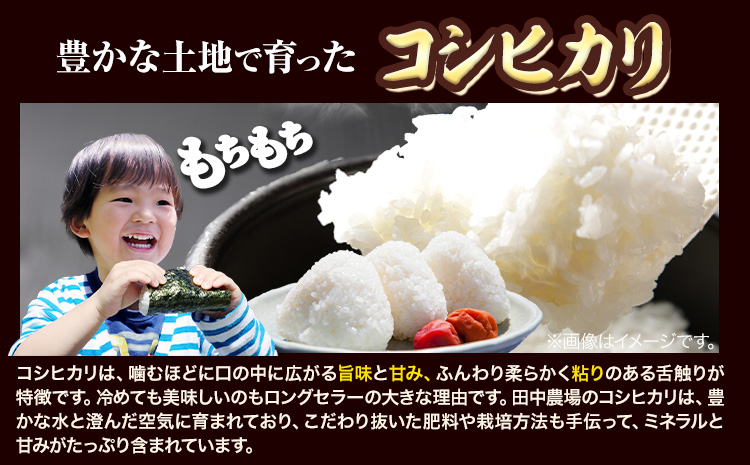 特別栽培米 コシヒカリ 10kg（5kg×2袋）有限会社 田中農場《90日以内に出荷予定(土日祝除く)》鳥取県 八頭町 米 お米 ご飯 送料無料