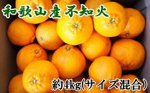 
            和歌山県産不知火約4kg（サイズ混合）★2026年2月下旬頃より順次発送［TM130］
          
