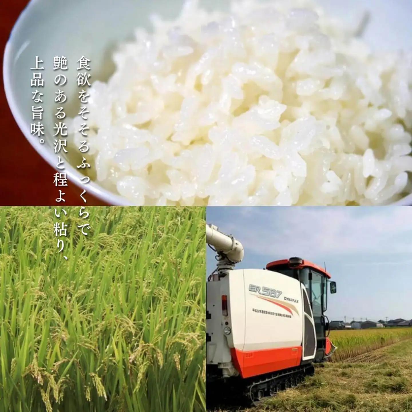 令和7年産 トマト酢を使って育てた「つや姫」 白米9kg：B365-008
