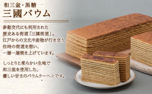 越後三山 山のクッキー 米っこサブレ 三国バウム 和三盆 黒糖 三國バウム 計14個 クッキー チョコチップ ココア サブレ 米粉 和菓子 洋菓子 お菓子 焼き菓子 セット 菓子詰合せ 詰め合わせ