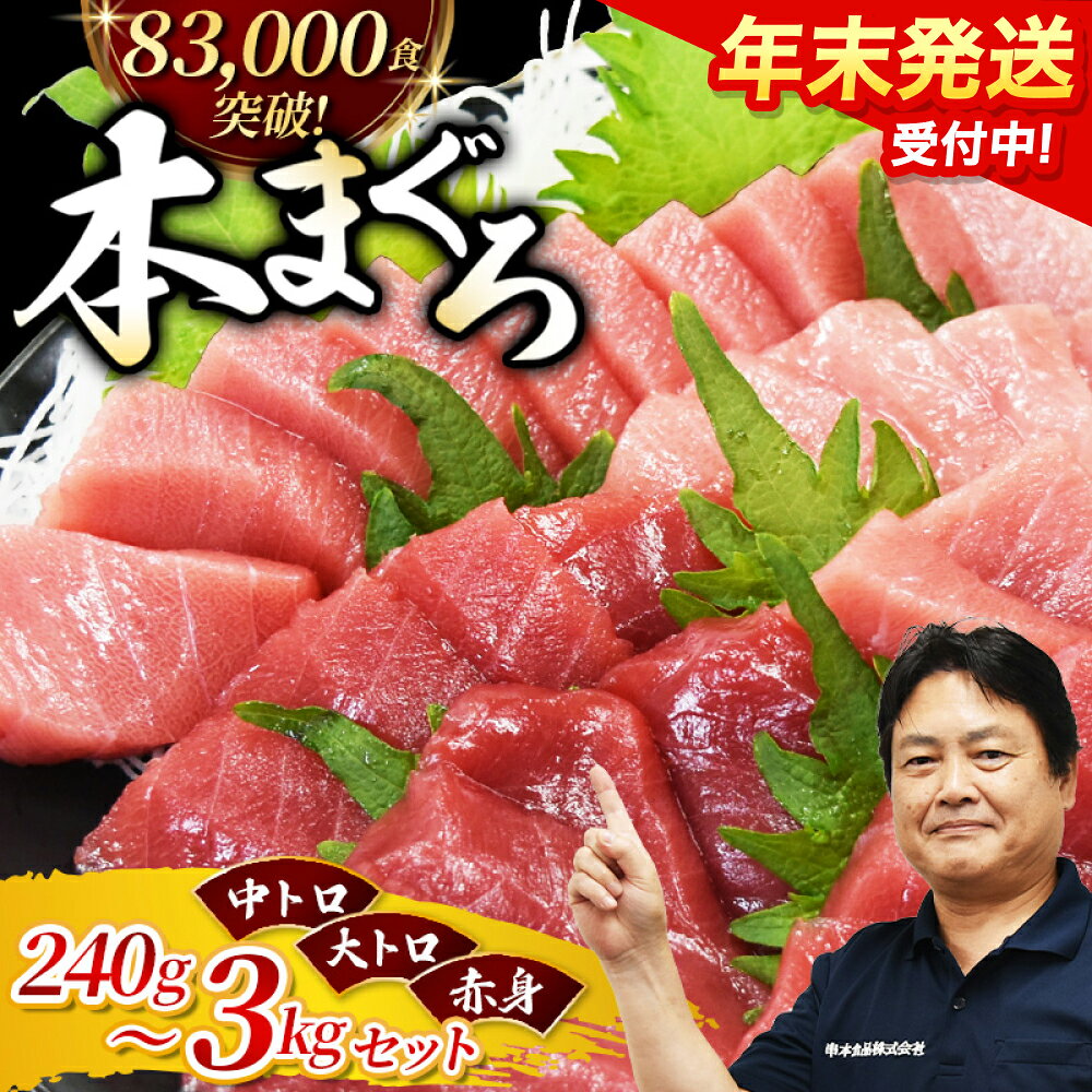 【28日決済分まで年内発送！】本マグロ（養殖）トロ＆赤身セット 500g or 1kg 中トロ 中とろ まぐろ 鮪 本マグロ マグロ 鮪 赤身 トロ 刺身 予約 冷凍 年内配送 海鮮 12月 年内発送 大トロ 柵 お正月 正月