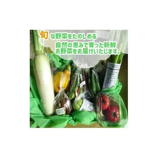 【早期予約】 野菜定期便 6ヶ月 7 ～ 10 品