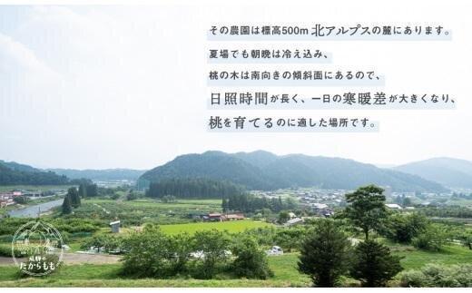 【2025年先行予約】飛騨のたからもも 特上 糖度15度以上（2玉）| 朝採り 桃 もも 極上の甘さ 濃厚 甘い 贈答 農家直送 飛騨の朝採り桃 飛騨高山 つむぎ果樹園 GH014