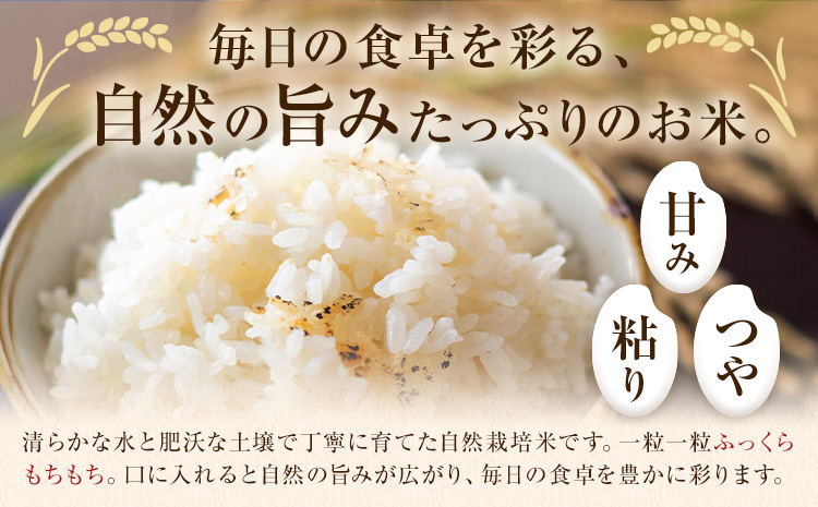 令和7年産 高野さんちの自然栽培米 白米 2kg 通常パッケージ 株式会社有機農場《30日以内に出荷予定(土日祝除く)》熊本県 菊池市 米 お米 精米 ヒノヒカリ ひのひかり 自然栽培米 七城物語 熊