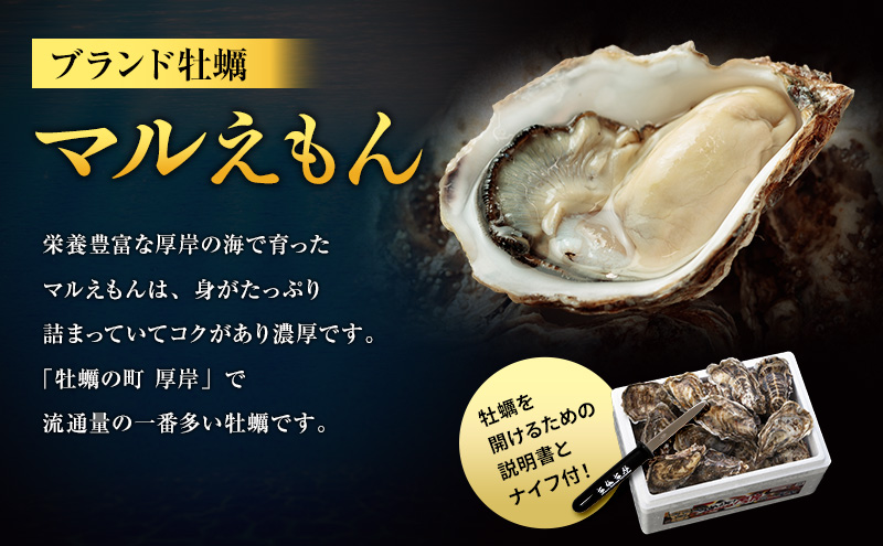 6月配送 訳あり 牡蠣 北海道厚岸産 殻付カキ 約4kg (25から50個) カキナイフ付 生食 生牡蠣 貝付き牡蠣 貝 海鮮 魚介類 殻付き牡蠣 マルえもん