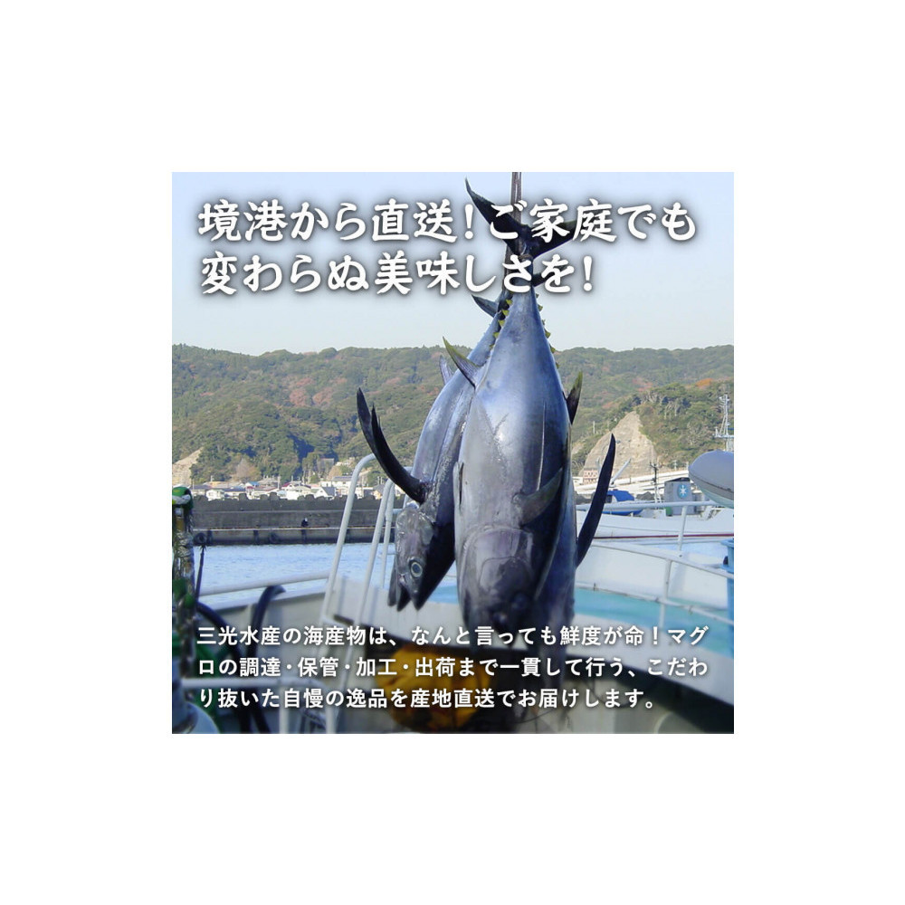 天然本マグロ(黒マグロ)　2点セット(大トロ・中トロ)600～650g