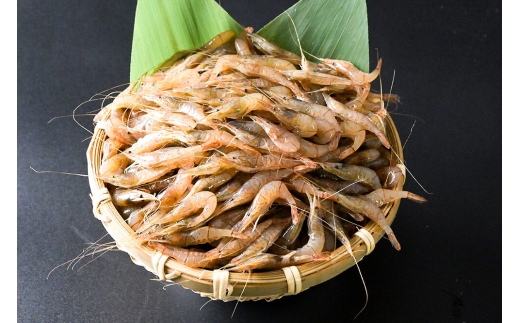 【冷凍】十和田湖すじえび 約1kg（約500g×2パック） [すじえび スジエビ フライ 唐揚 素揚げ かき揚げ 塩ゆで 美味 十和田湖 国産 冷凍 食卓 ご飯のお供 秋田 小坂町]