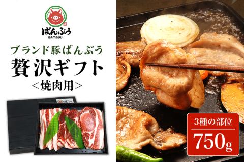 ブランド豚「ばんぶぅ」ギフト 焼肉用 750g