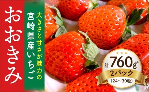 《2026年発送》【数量・期間限定】宮崎県産いちご「おおきみ」2パック(計760g以上：24粒～30粒)_M260-002