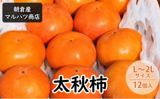 
                  柿 太秋柿 L～2Lサイズ×12個入 マルハツ商店 配送不可：離島
                