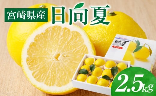 《2026年発送先行予約》【数量・期間限定】宮崎県産日向夏 2.5kg 化粧箱入り_M320-002