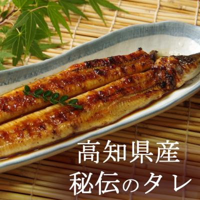 ふるさと納税 室戸市 初音のオススメ3回定期便A＜ウナギ・金目鯛・カツオ＞ |  | 02