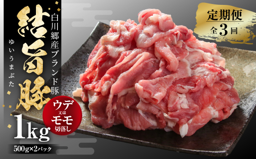 《定期便》全3回 結旨豚 ウデ又はモモ 切り落とし 500g×2パック 冷凍真空パック | 肉 お肉 豚肉 国産 食べ比べ セット 白川郷 岐阜県 白川村 ブランド豚 人気 おすすめ ギフト 飛騨高山ミート 30000円 [MS104]