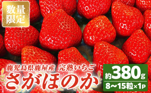 2691 【数量限定】鹿児島県産いちご「さがほのか」8～15粒　ストロベリーハウス彩より直送【期間限定】【いちご イチゴ 苺 さがほのか 国産 贈答 プレゼント 果物 フルーツ】