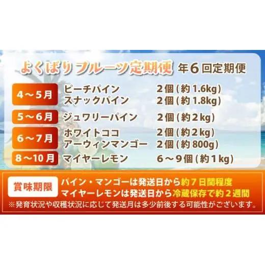 島のおいしいを贅沢に！大満足のパイナップル4種とマンゴー、マイヤーレモンの定期便　年6回に分けてお送りします 《2027年4月中旬以降発送》