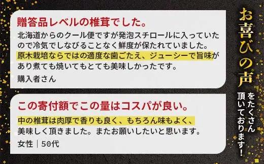 【先行予約】2026年8月以降順次発送 原木栽培 生椎茸 約1kg 里の恵 しいたけ シイタケ きのこ キノコ 椎茸 野菜  F21X-575