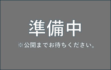 髙島屋選定品〈サンマルコ〉1人前カレーギフト　S-508_OS010-0017