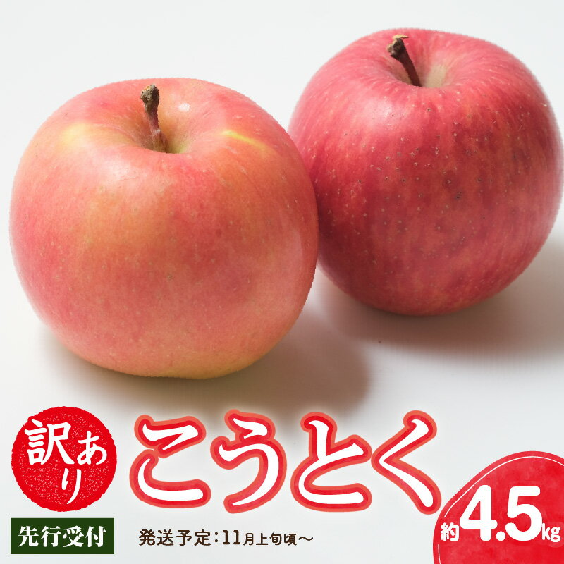 【ふるさと納税】 《先行受付》訳ありこうとく約4.5kg【2026年11月上旬〜発送予定】【大江町産・山形りんご・りんご専科 清野】 リンゴ 林檎 フルーツ 果物 産地直送