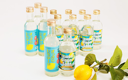 レモンジンジャーソーダ8本とすっきりレモネード4本のセット(岩城島産レモン使用)【1230574】