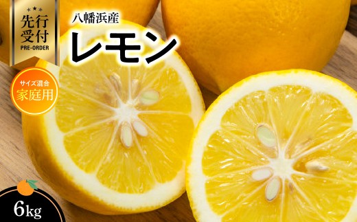 【先行受付】八幡浜産・レモン6kg[家庭用]＜C56-57＞レモン 檸檬 柑橘 フルーツ くだもの 果物 青果  産直 産地直送 旬 愛媛 八幡浜 ふるさと 【1523742】 YWTAS047