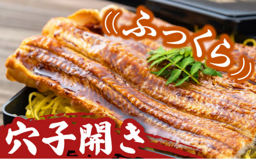 【全3回定期便】対馬産 活〆 穴子 ３点 セット B【THE・対馬株式会社】《対馬市》新鮮 あなご 刺身 天ぷら 海鮮 肉厚 簡単調理 二人前 [WAS009]