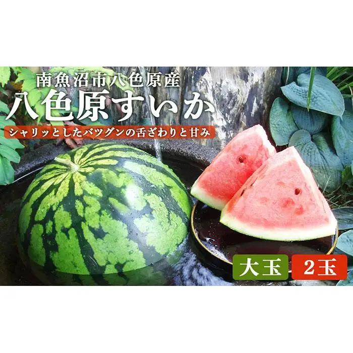【高級】八色原すいか大玉２玉 | すいか