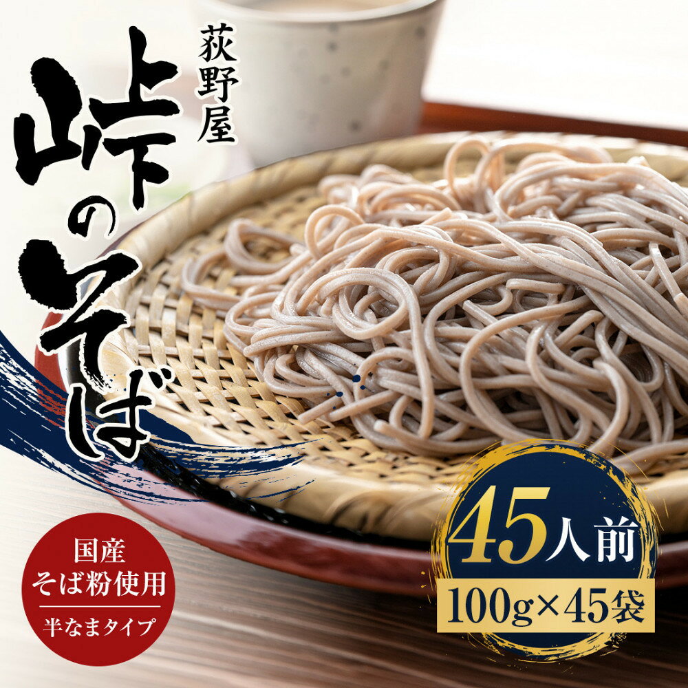 【ふるさと納税】峠のそば 1人前 100g×45袋