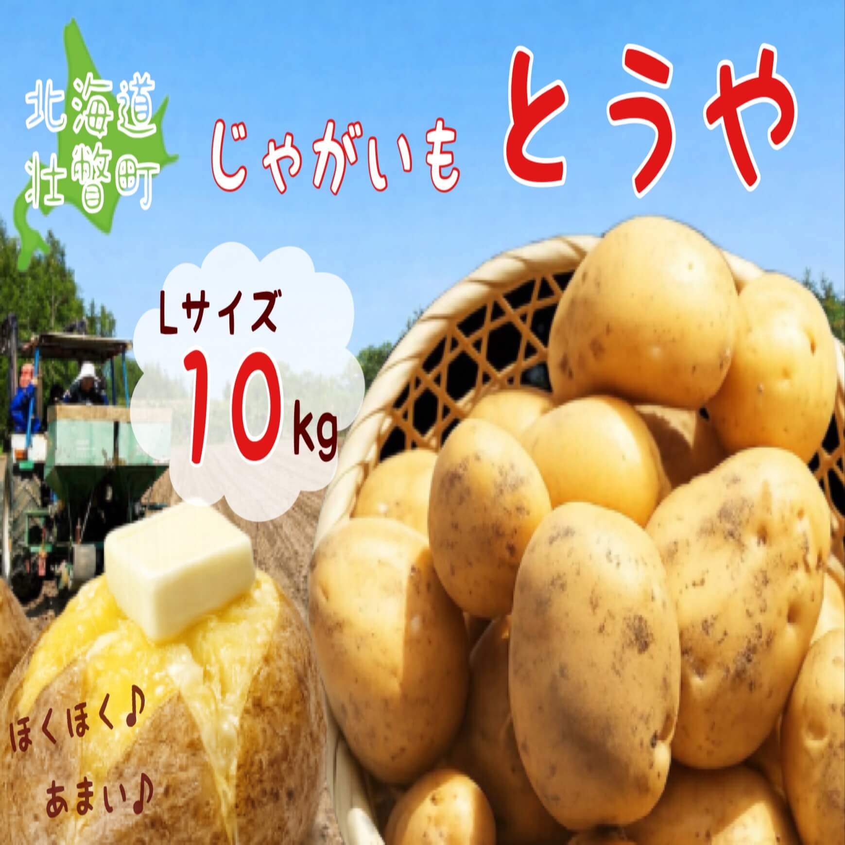 【ふるさと納税】＜2026年9月下旬よりお届け＞北海道壮瞥町産じゃがいも（とうや）Lサイズ10kg　【 ふるさと納税 人気 おすすめ ランキング 野菜 いも 芋 じゃがいも じゃが芋 ジャガイモ ポテト国産 おいしい 美味しい 北海道 壮瞥町 送料無料 】　SBTN005