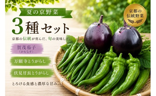 
                  【先行予約・2026年7月発送】夏の京野菜「3種セット」賀茂茄子・万願寺とうがらし・伏見とうがらし |京都 野菜 人気セット［ 京都 野菜 ご当地 人気 おすすめ 定番 セット おいしい ご自宅用 お取り寄せ 通販 送料無料 ふるさと納税 ］
                