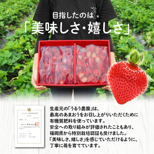 【2027年1月より順次発送】うるう農園の冷凍あまおう2kg_あまおう 2kg 冷凍 甘い 濃厚 新鮮 いちごの王様 うるう農園 いちご 果物 アレンジ おやつ フルーツ スイーツ スムージー ジャム