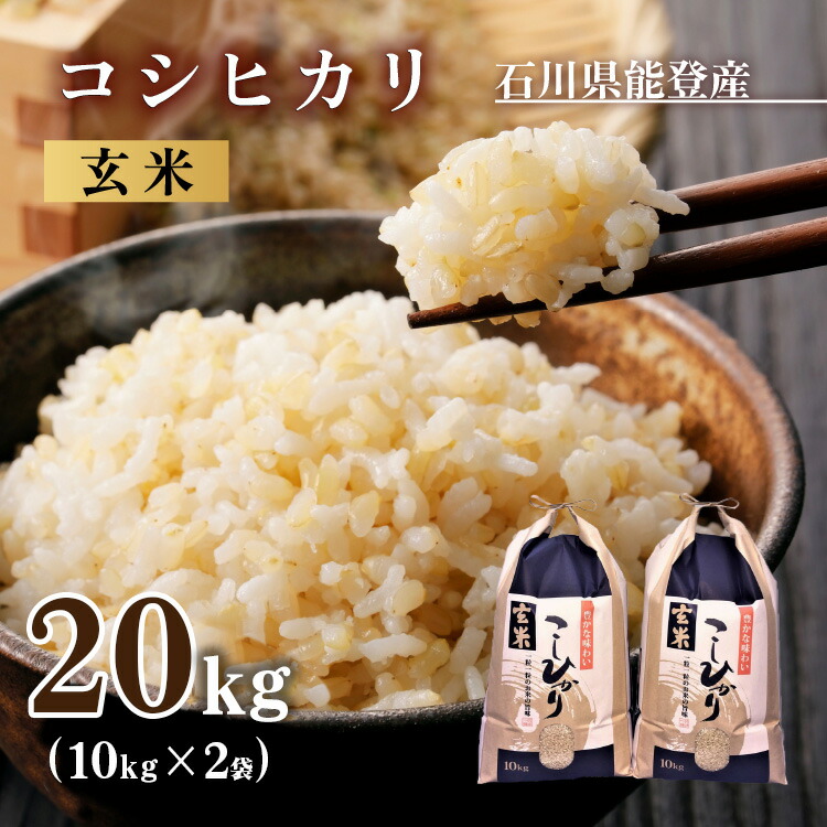 米 玄米 20kg/石川県能登産こしひかり　玄米20kg（10kg×2袋）/日本初！世界農業遺産認定「能登の里山里海」の恵み ※2024年1月中旬～2月下旬頃に順次発送予定