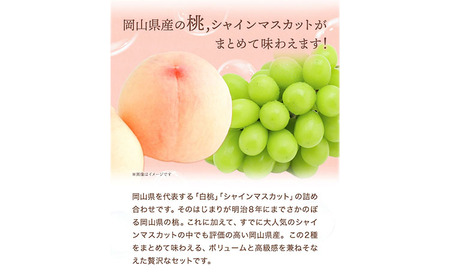 桃・シャインマスカット詰め合わせ 約1kg クール便 冷蔵便 桃 もも 葡萄 ブドウ ぶどうシャインマスカット マスカット フルーツ セット 先行予約 晴れの国おかやま館 《2024年8月下旬～9月中