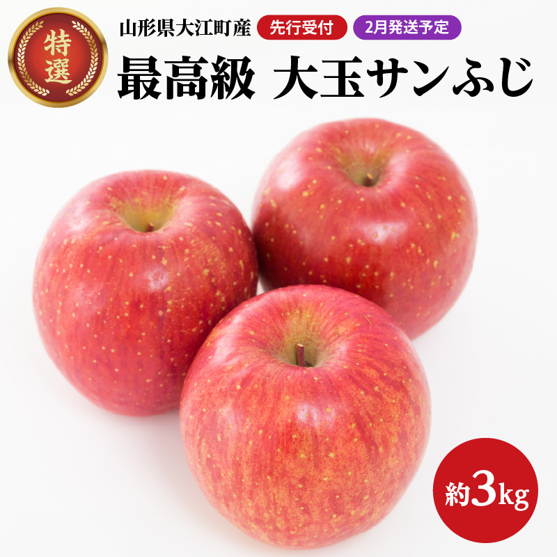 《先行受付》【2027年2月発送予定】 最高級 特選大玉サンふじ約3kg 【大江町産・山形りんご・大地農産】
