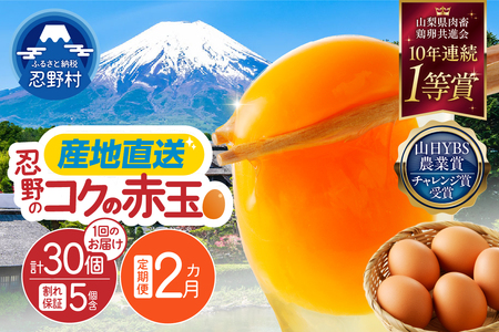 【2ヶ月定期便】”忍野の卵”コクの赤玉30個×2回 ※割れ保証含む 卵