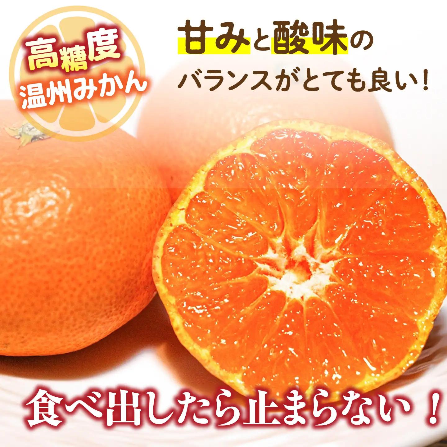 【2026年12月-発送】【2回定期便】温州みかん約10kg（傷もの）計約20kg みかん / 南島原果物屋 [SCV016]
