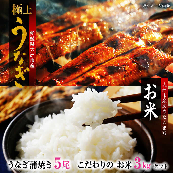 【ふるさと納税】 うなぎ 蒲焼き 5尾 と 地元生産者 こだわり の お米 3kg セット | 人気 おすすめ ランキング おいしい 国産 蒲焼 鰻重 うな丼 お米 大洲市/樽井旅館[AGAH006] 90000 90000円 以上