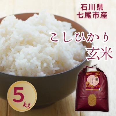 ふるさと納税 七尾市 石川県七尾市産　コシヒカリ　玄米　5Kg